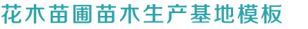 凯时k66
